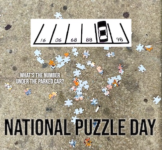 scatted puzzle pieces on the ground and a fun visual puzzle for national puzzle day in January